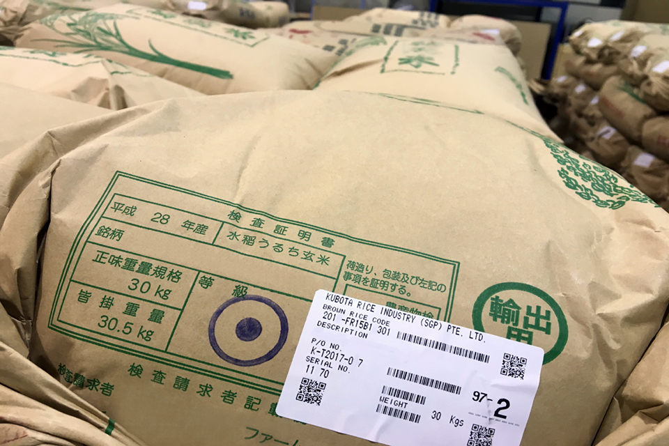 椙下　将孝