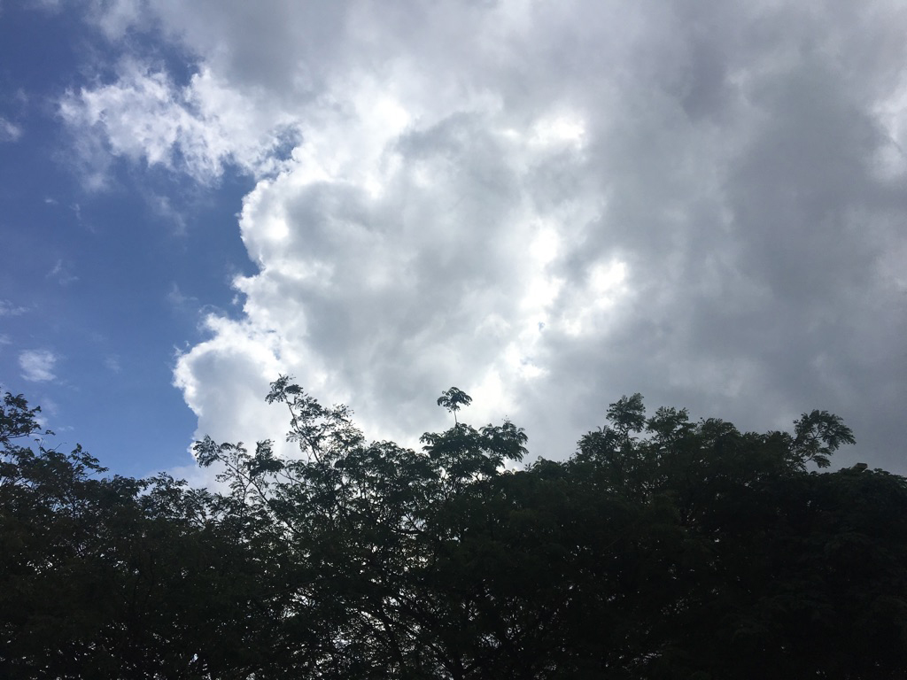 椙下　将孝